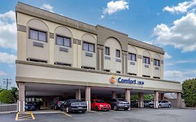 Comfort Inn Syosset Ny